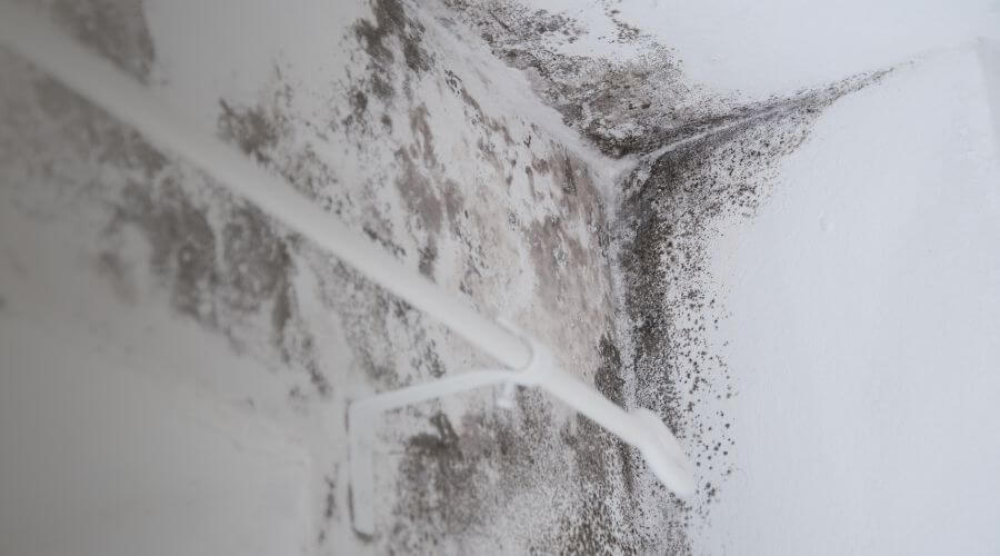 Why choose Priority Recovery for water damage restoration in Markham